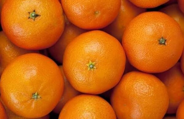 TANGERINE