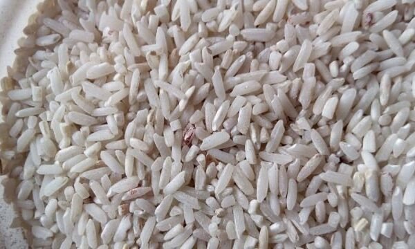 TUWO SHINKAFA RICE