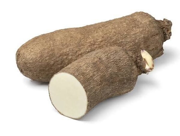 SMALL YAM