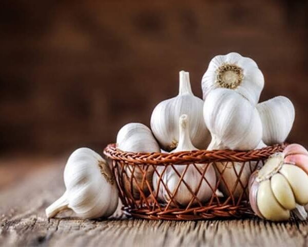 GARLIC